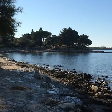 Roman Novigrad Istria